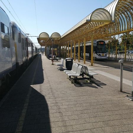 Vakantie Aan Zee 드판 외부 사진