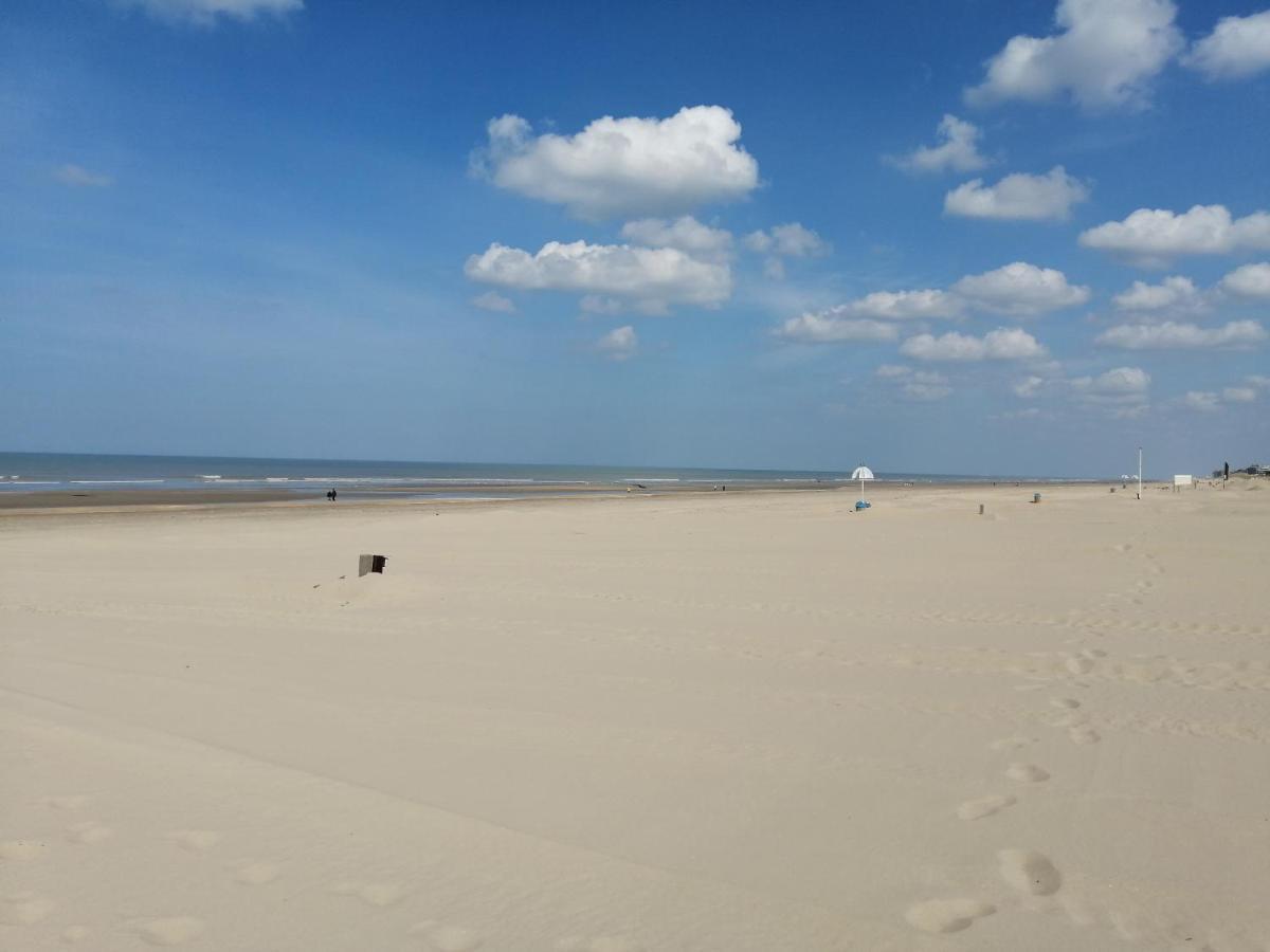 Vakantie Aan Zee 드판 외부 사진