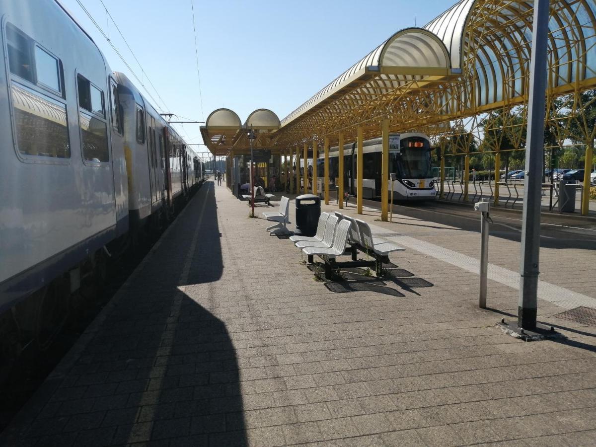 Vakantie Aan Zee 드판 외부 사진